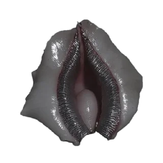 🐚 emoji situation by @polzahannah Telegram sticker 22 of 100