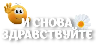 👋 emoji @pozdravlenia0 ⬅️ Открытки тут Telegram sticker 5 of 37