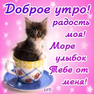 Sticker from @pozdravlenia0 ⬅️ Открытки тут