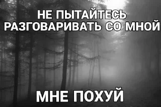 Sticker from пипяу