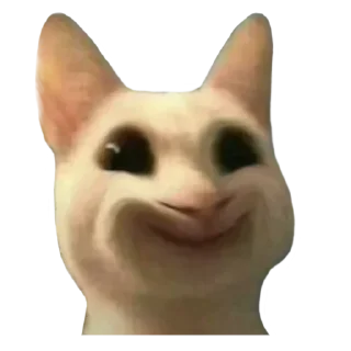 😊 emoji @just_a_humble_cat Many Cats Telegram sticker 20 of 120