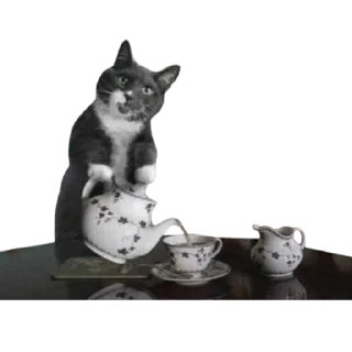 ☺️ emoji @just_a_humble_cat Many Cats Telegram sticker 10 of 120