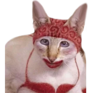 😘 emoji @just_a_humble_cat Many Cats Telegram sticker 19 of 120