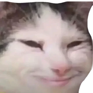 😊 emoji @just_a_humble_cat Many Cats Telegram sticker 16 of 120