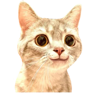 🥹 emoji @just_a_humble_cat Many Cats Telegram sticker 8 of 120