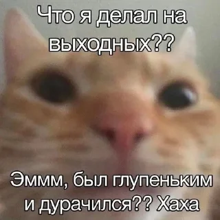 Sticker from Я