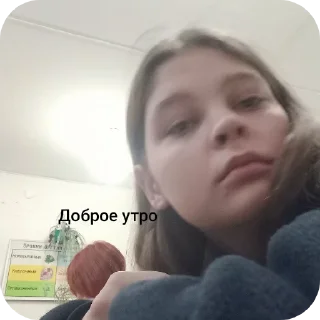 🥱 emoji Соня и вероника ебаа Telegram sticker 19 of 42
