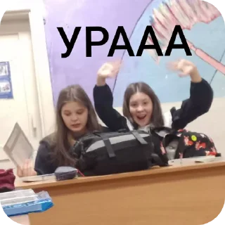 🎸 emoji Соня и вероника ебаа Telegram sticker 18 of 42