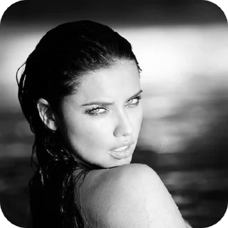 Sticker from B&W Adriana