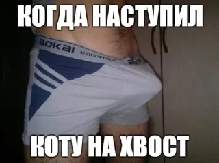 Sticker from кукуруза