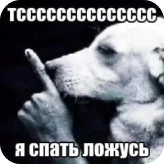 🤫 emoji кинн Telegram sticker 3 of 29