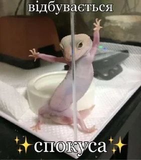 Sticker from Мемчіки з Шерлоком