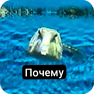 Sticker from Рыбки москвы ВСЕ ФОТКИ СДЕЛАНЫ АВТОРОМ