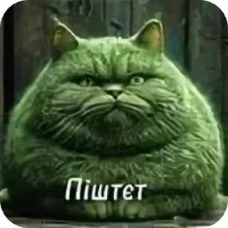🐱 emoji pizda pack Telegram sticker 8 of 120