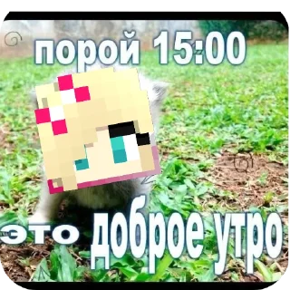 🥰 emoji Kira Minecraft Telegram sticker 14 of 16