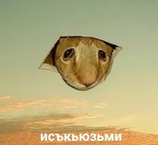 Sticker from Пакет егопчика