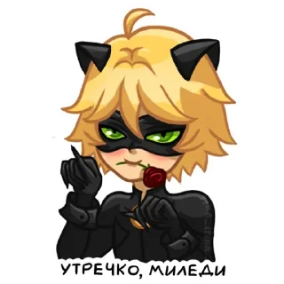 Sticker from Миледи 🥀🤍