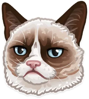 Sticker from Я люблю котів