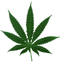 🌲 emoji Drugs by @stickers_style Telegram sticker 13 of 67