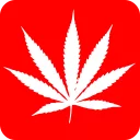 🌲 emoji Drugs by @stickers_style Telegram sticker 12 of 67