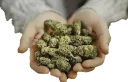 🙈 emoji Drugs by @stickers_style Telegram sticker 24 of 67
