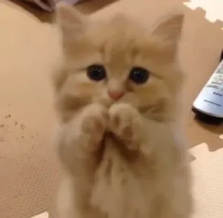 😩 emoji стики дишки Telegram sticker 21 of 44