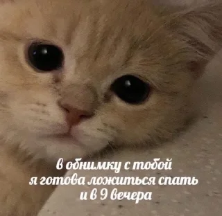 Sticker from стики дишки