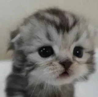 😩 emoji стики дишки Telegram sticker 19 of 44