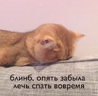 🤍 emoji стики дишки Telegram sticker 14 of 44