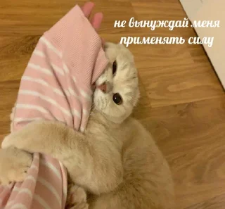 Sticker from стики дишки