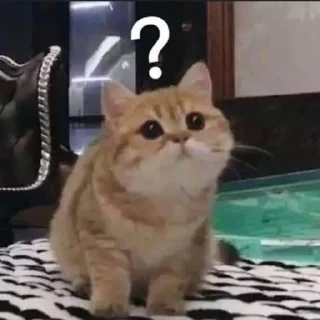 😩 emoji стики дишки Telegram sticker 18 of 44