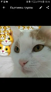 🙂 emoji Favorite stickers Telegram sticker 2 of 11