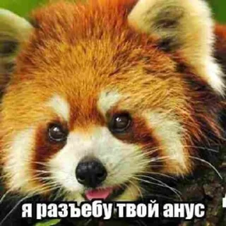 😡 emoji Favorite stickers Telegram sticker 24 of 36