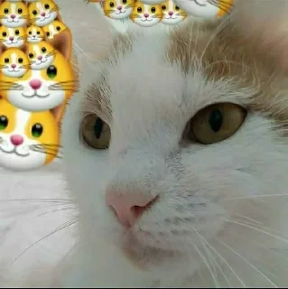 😉 emoji Favorite stickers Telegram sticker 4 of 11