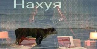 Sticker from Почему и за что….