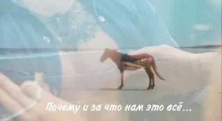 Sticker from Почему и за что….