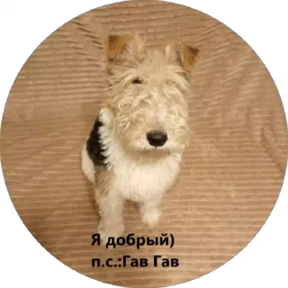 Sticker from Вкусняшка) @BR0DYACH1Y_ART1ST