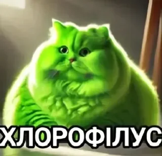 Sticker from Пiструны и пiпiдастры