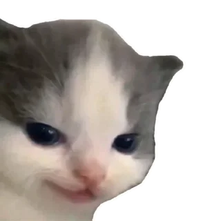 😈 emoji Прокент Telegram sticker 14 of 15