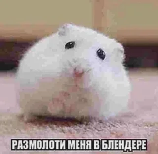 Sticker from что за блчлть