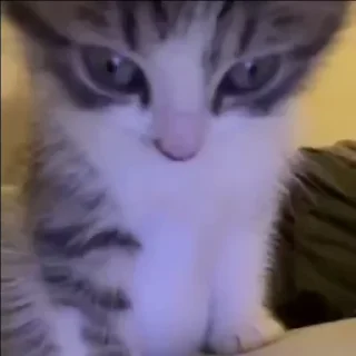 😡 emoji стики для @nikllsas Telegram sticker 9 of 34