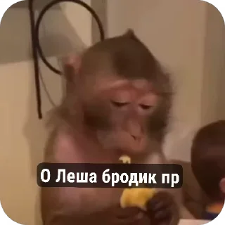 🥟 emoji Стикири Telegram sticker 14 of 31