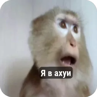 😳 emoji Стикири Telegram sticker 12 of 31