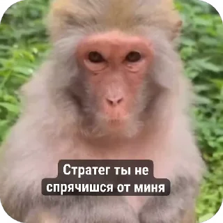 😂 emoji Стикири Telegram sticker 18 of 31
