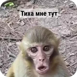 🌟 emoji Стикири Telegram sticker 10 of 31