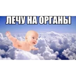 Sticker from Стики для геев создатель-@adolfew