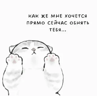 Sticker from meow