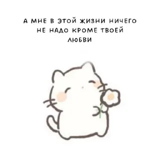 Sticker from meow