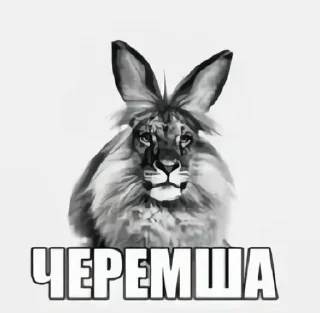 Sticker from @FULLSITION <- БОЛЬШЕ