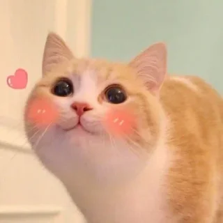 Sticker from котыдлямеов